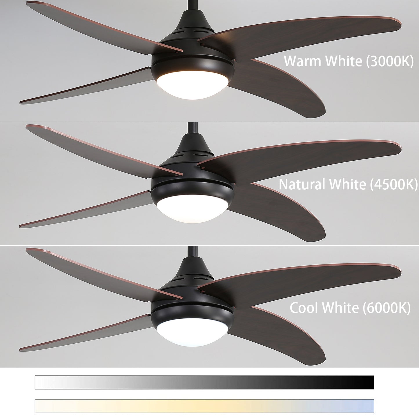 4-Blade Ceiling Fan with Lights and Remote Control