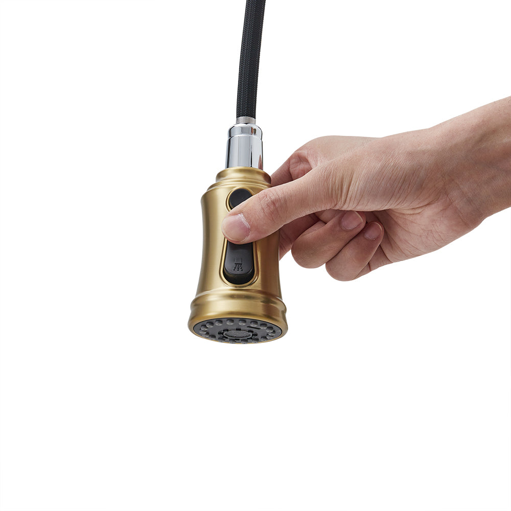 Single Handle Kitchen Faucet with Spring Spout