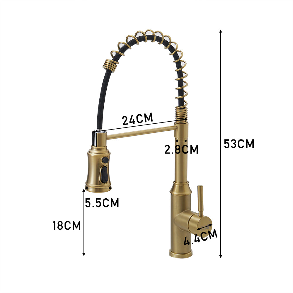Single Handle Kitchen Faucet with Spring Spout