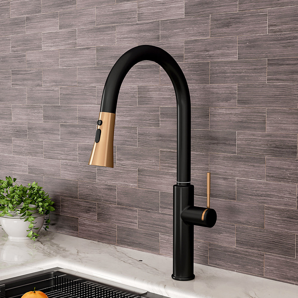 Black Kitchen Sink Faucet with Pull Down Sprayer