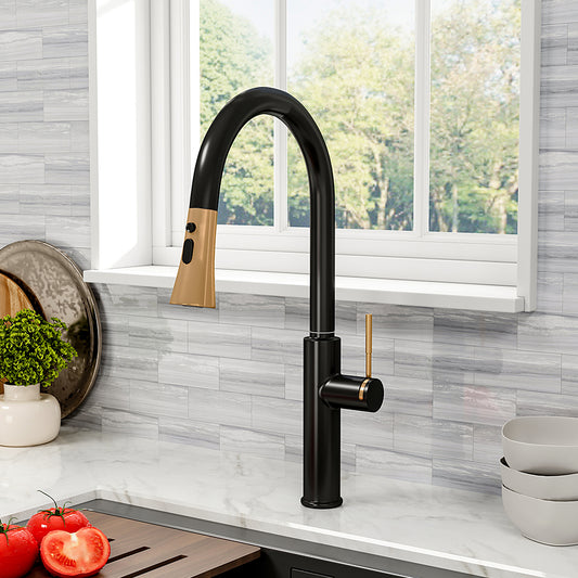 Black Kitchen Sink Faucet with Pull Down Sprayer