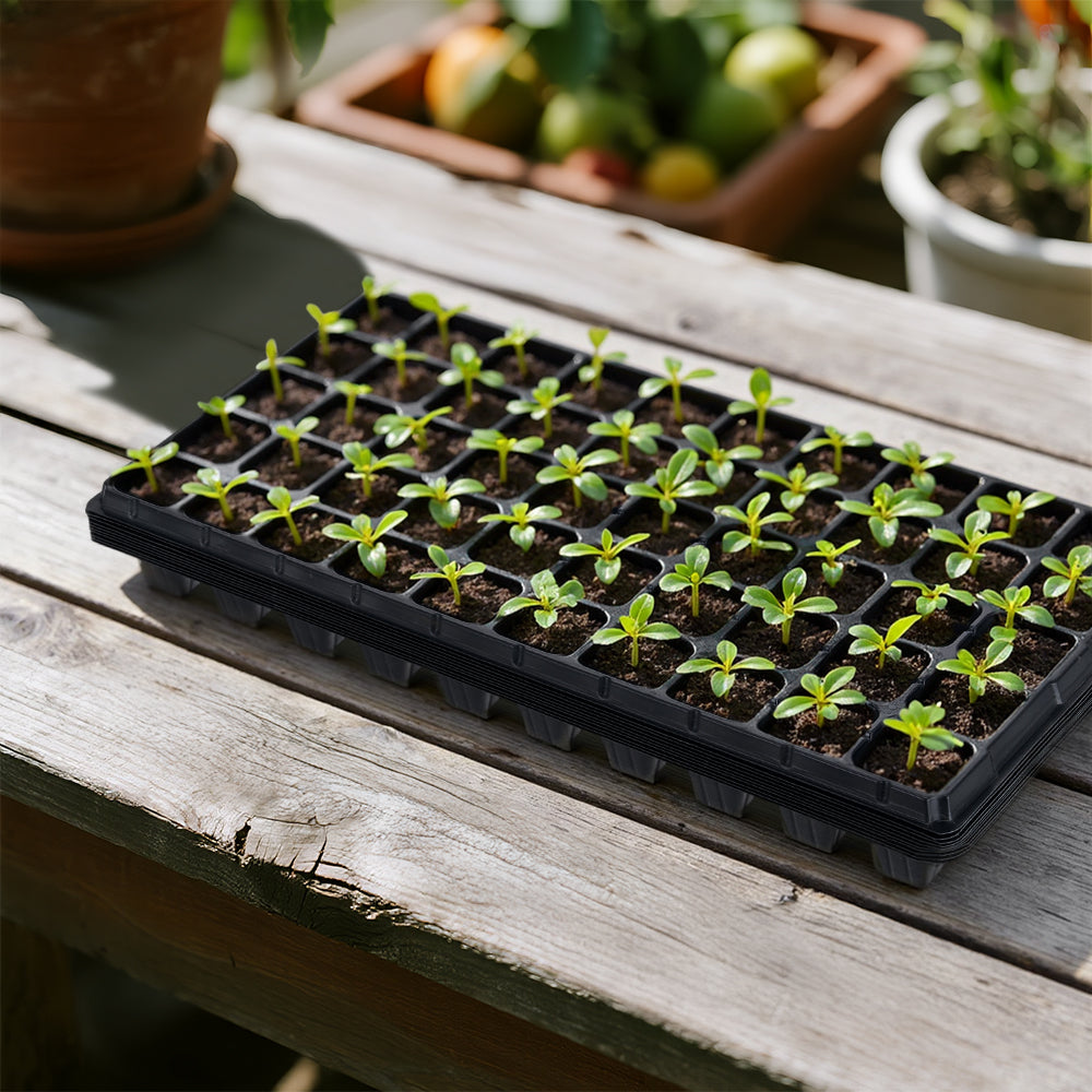 10 Pcs Thick Durable 50 Cell Seedling Tray