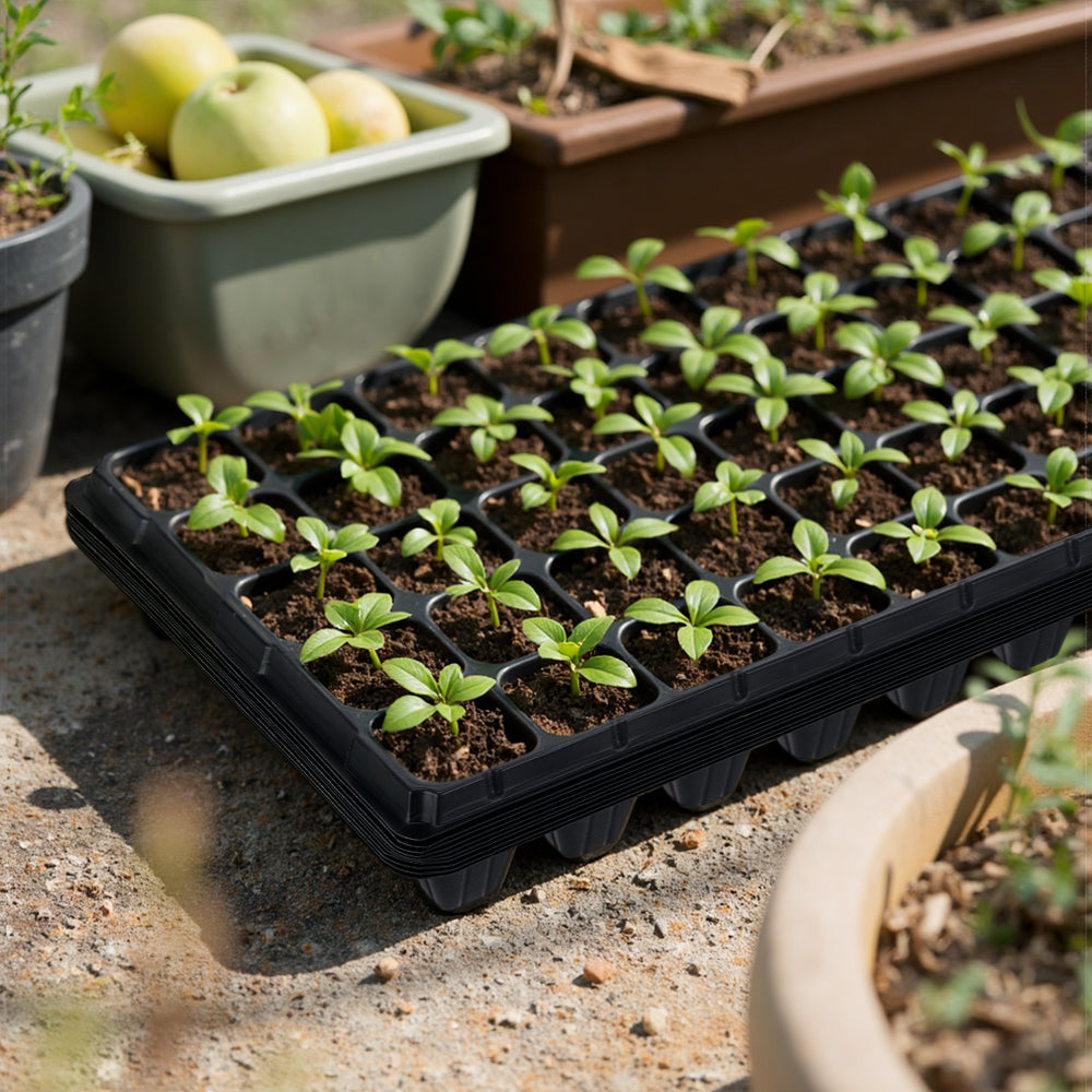 10 Pcs Thick Durable 50 Cell Seedling Tray