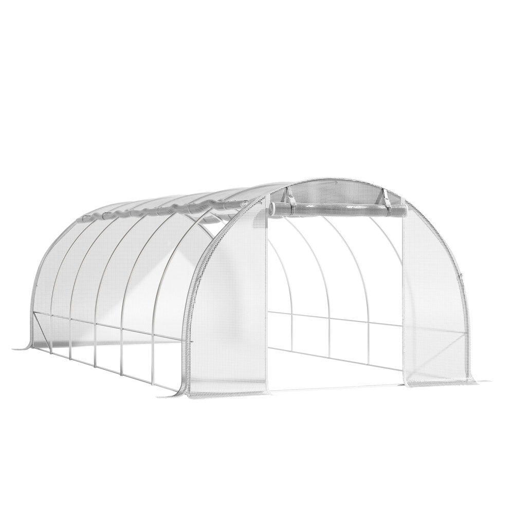 Steel Frame White Outdoor Walk-in Tunnel Greenhouse
