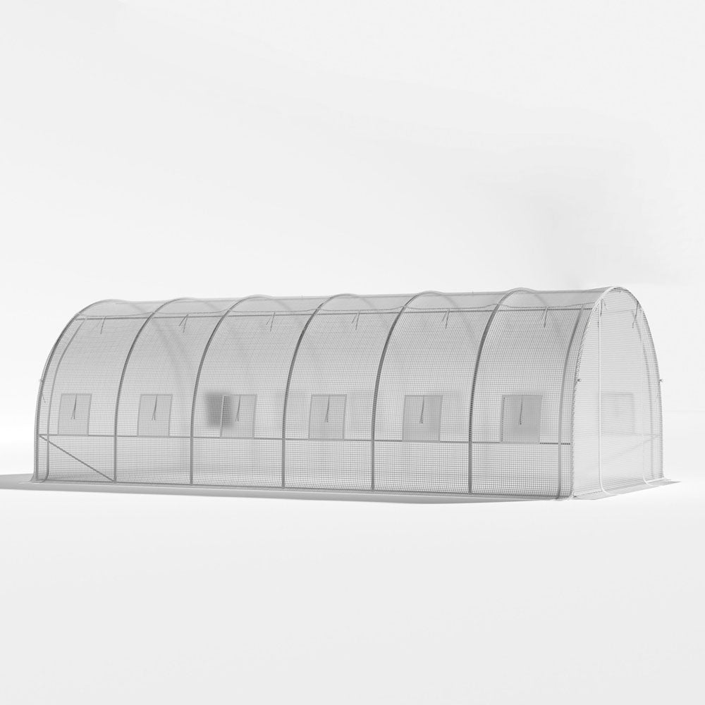 Steel Frame White Outdoor Walk-in Tunnel Greenhouse