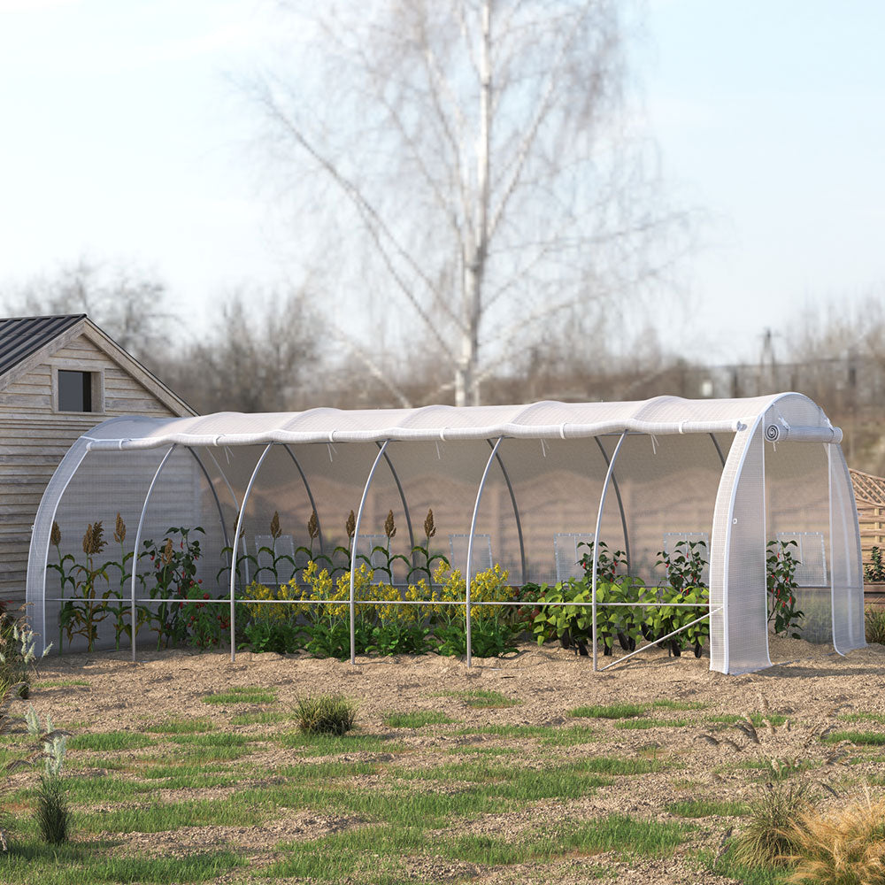 Steel Frame White Outdoor Walk-in Tunnel Greenhouse