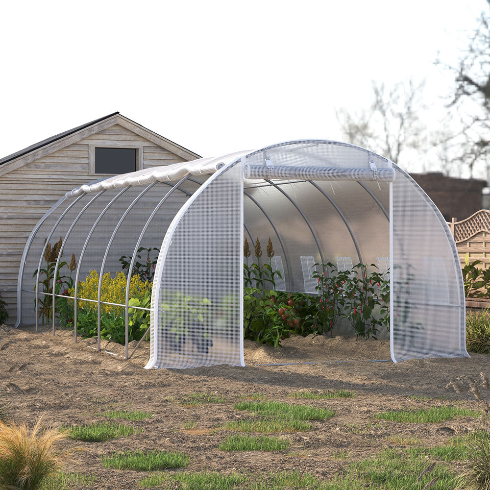 Steel Frame White Outdoor Walk-in Tunnel Greenhouse
