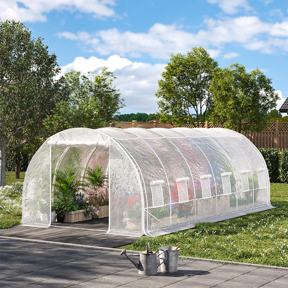 Steel Frame White Outdoor Walk-in Tunnel Greenhouse