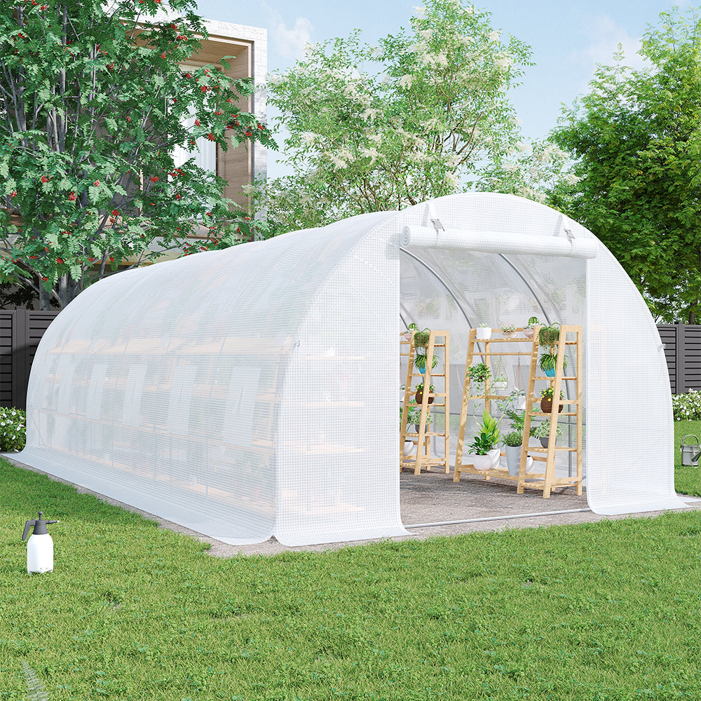 Steel Frame White Outdoor Walk-in Tunnel Greenhouse