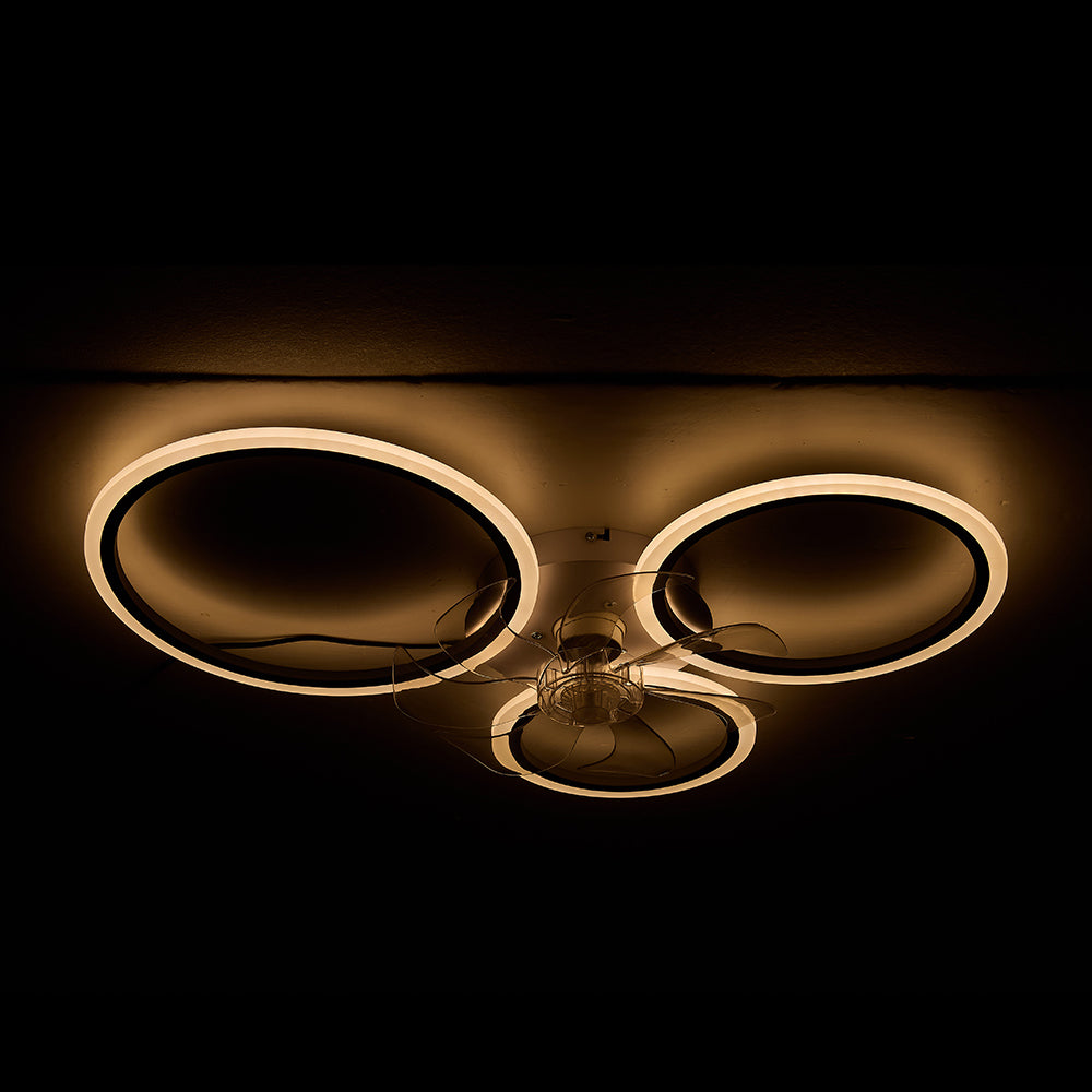 Modern Ceiling Fan & LED Lighting Fixture