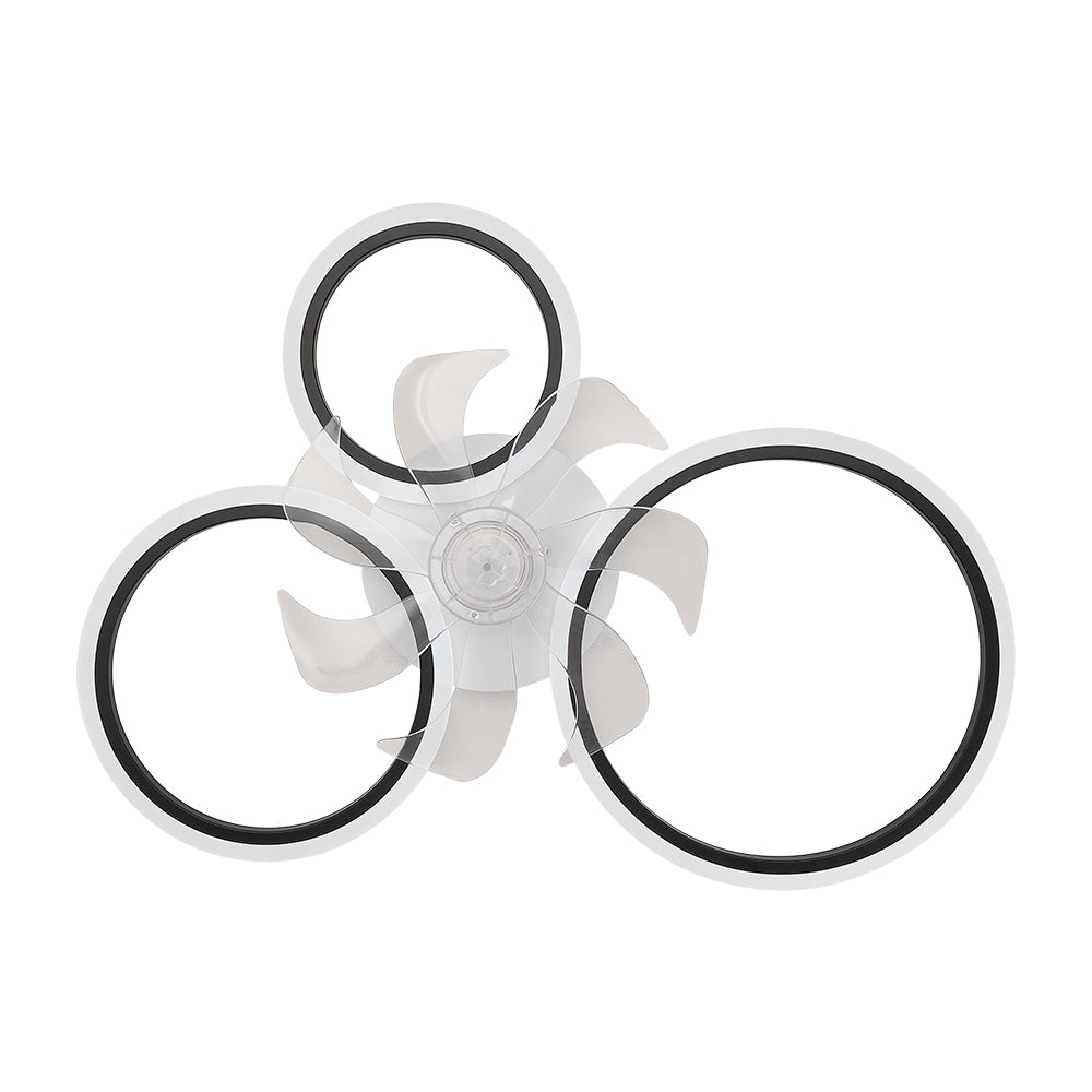 Modern Ceiling Fan & LED Lighting Fixture