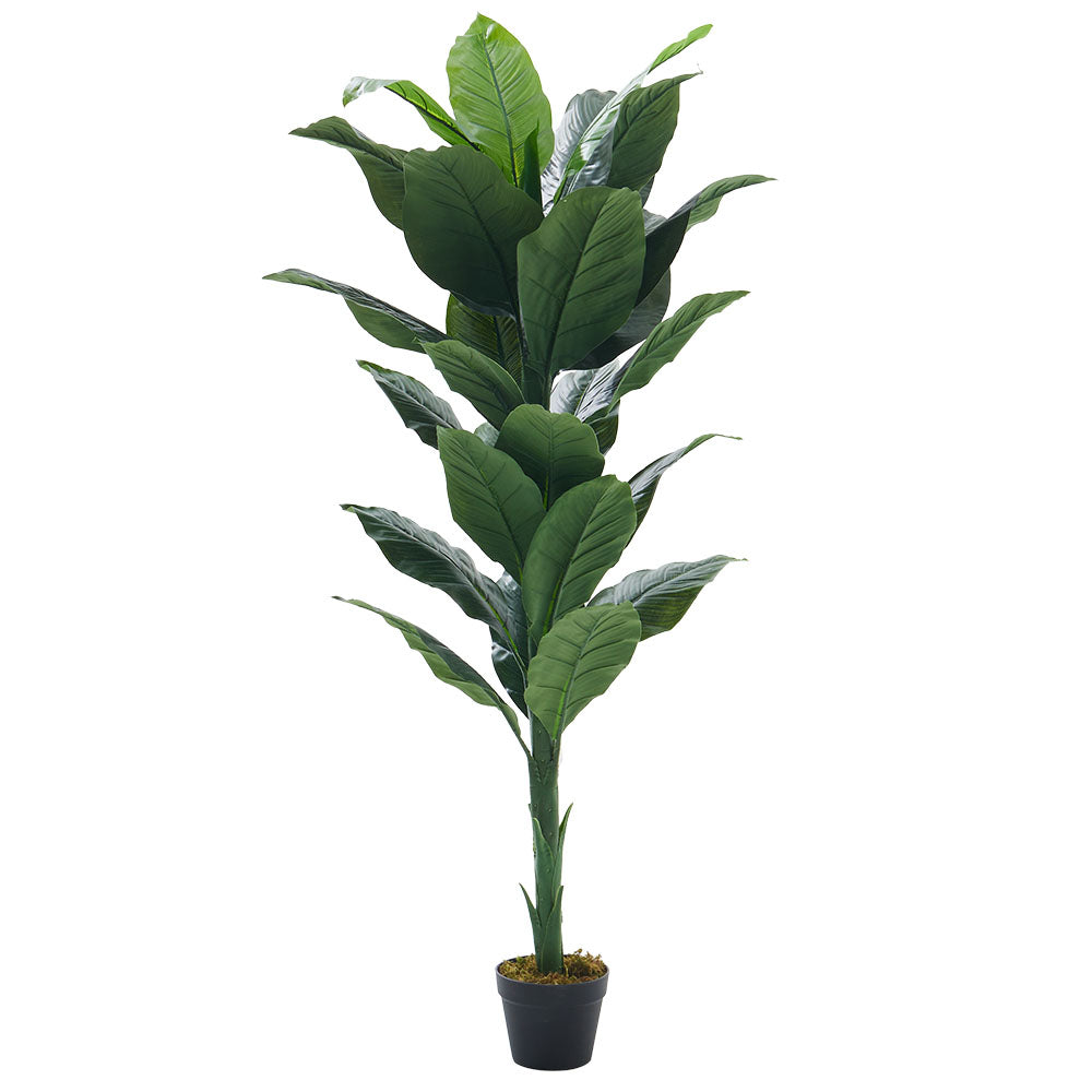 160cm Artificial Tropical Spathiphyllum Tree Fake Plant