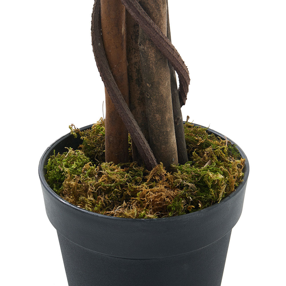 180cm Lifelike Artificial Willow Tree