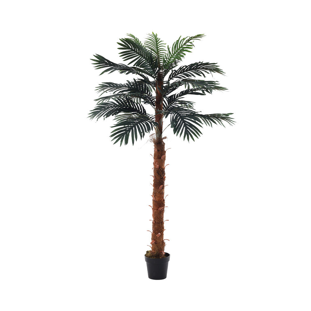180CM Height Artificial Plants Decoration Palm Tree in Pot