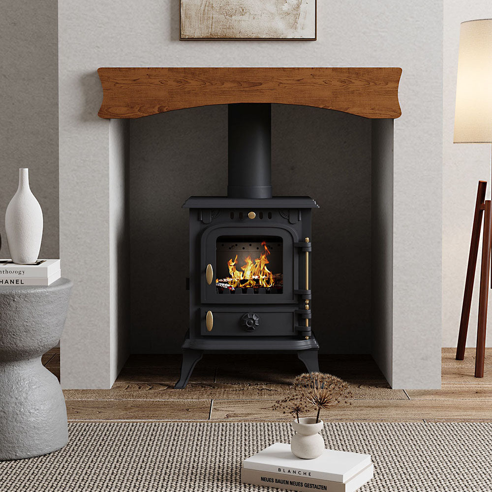 Freestanding Cast Iron Wood Burning Stove Fireplace