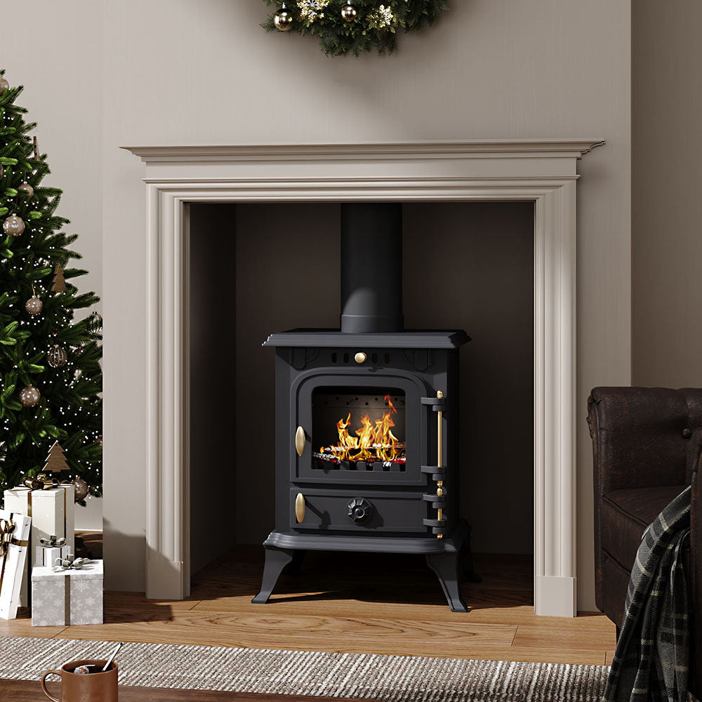 Freestanding Cast Iron Wood Burning Stove Fireplace