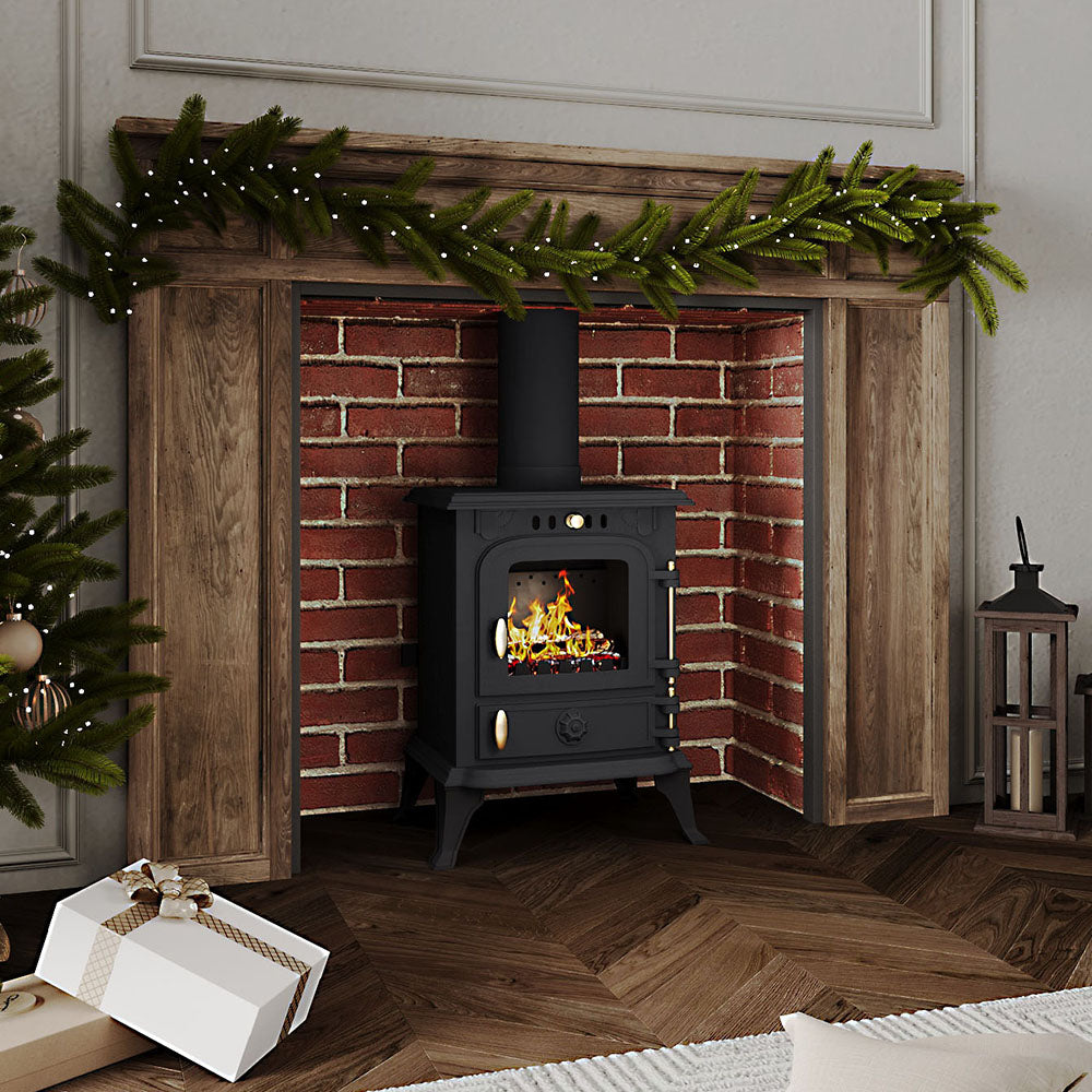 Freestanding Cast Iron Wood Burning Stove Fireplace