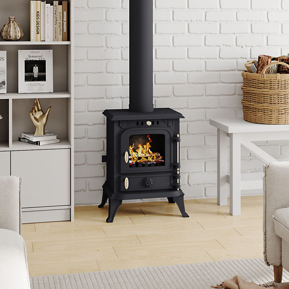 Freestanding Cast Iron Wood Burning Stove Fireplace