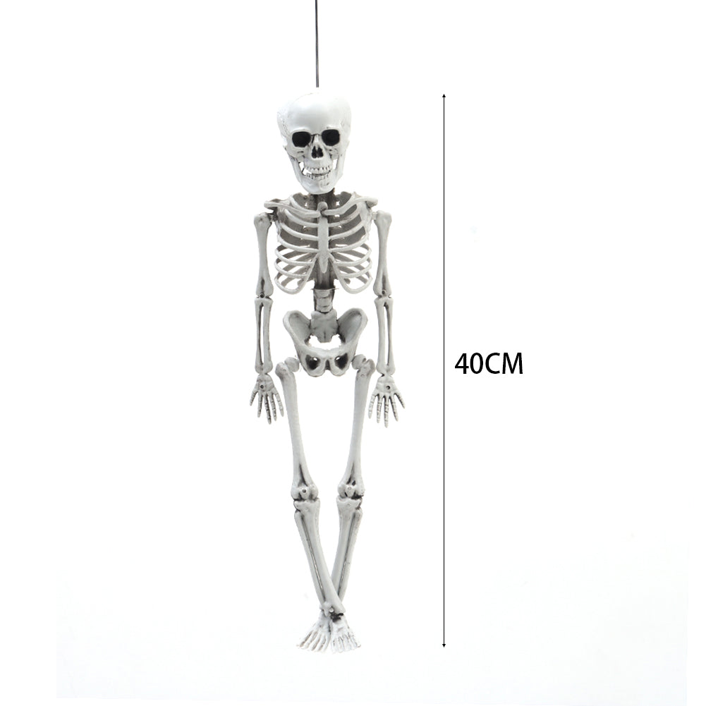 Realistic Posable Hanging Skeleton for Halloween
