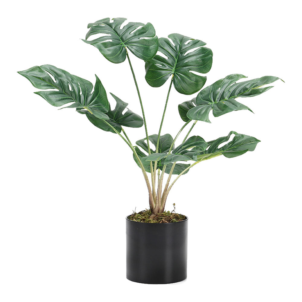 Simulation Turtle Back Leaf Plant Potted Ornament