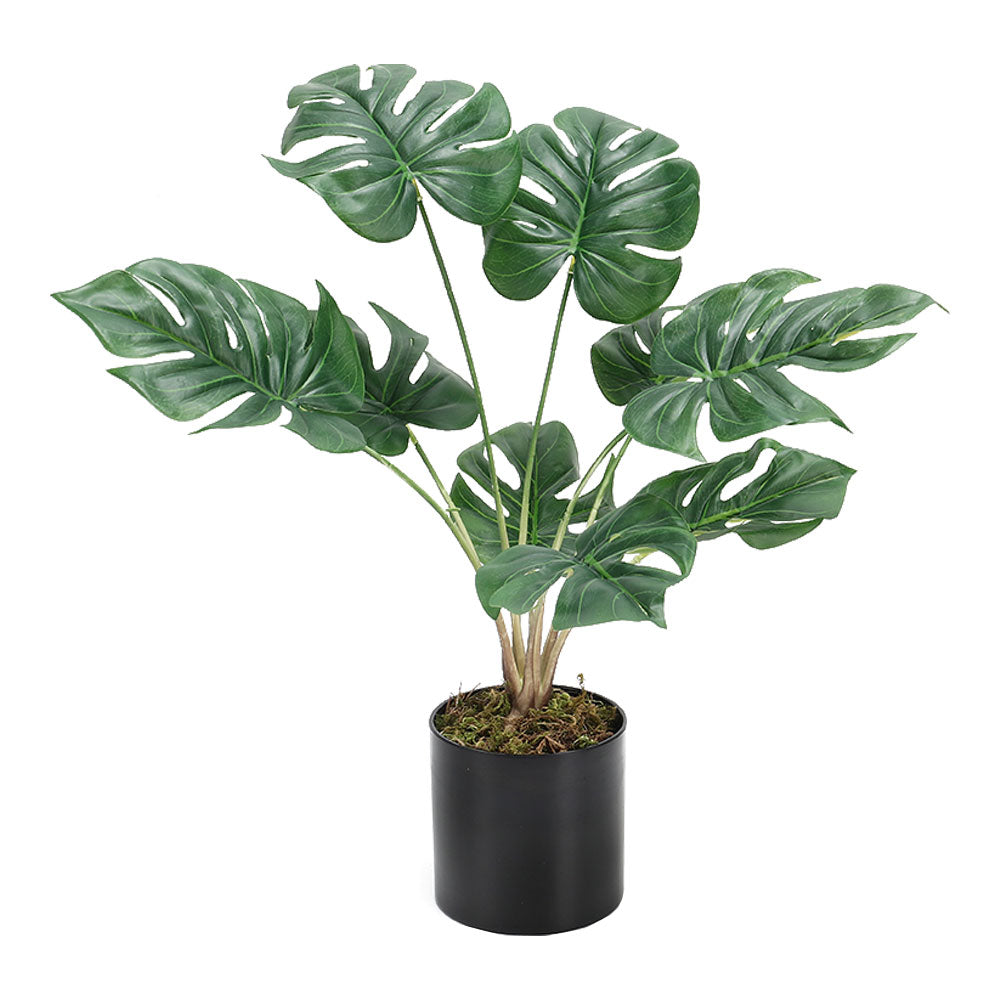 Simulation Turtle Back Leaf Plant Potted Ornament