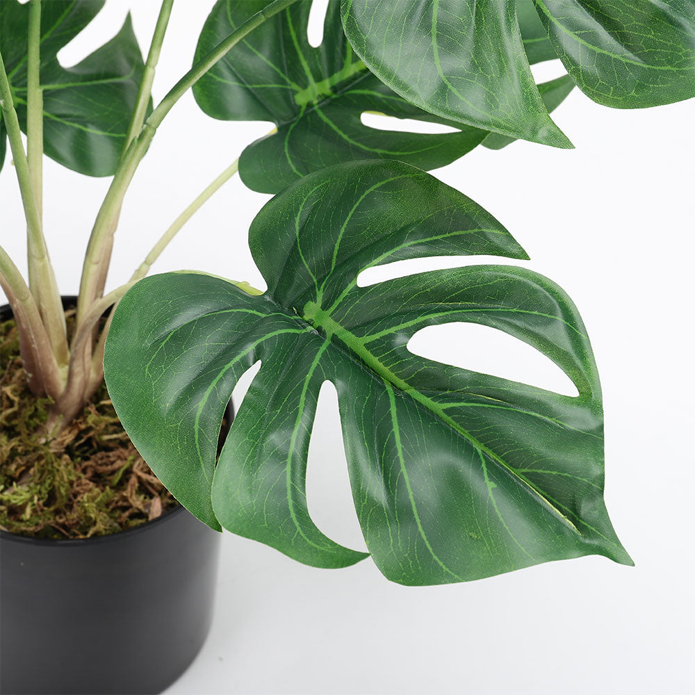Simulation Turtle Back Leaf Plant Potted Ornament
