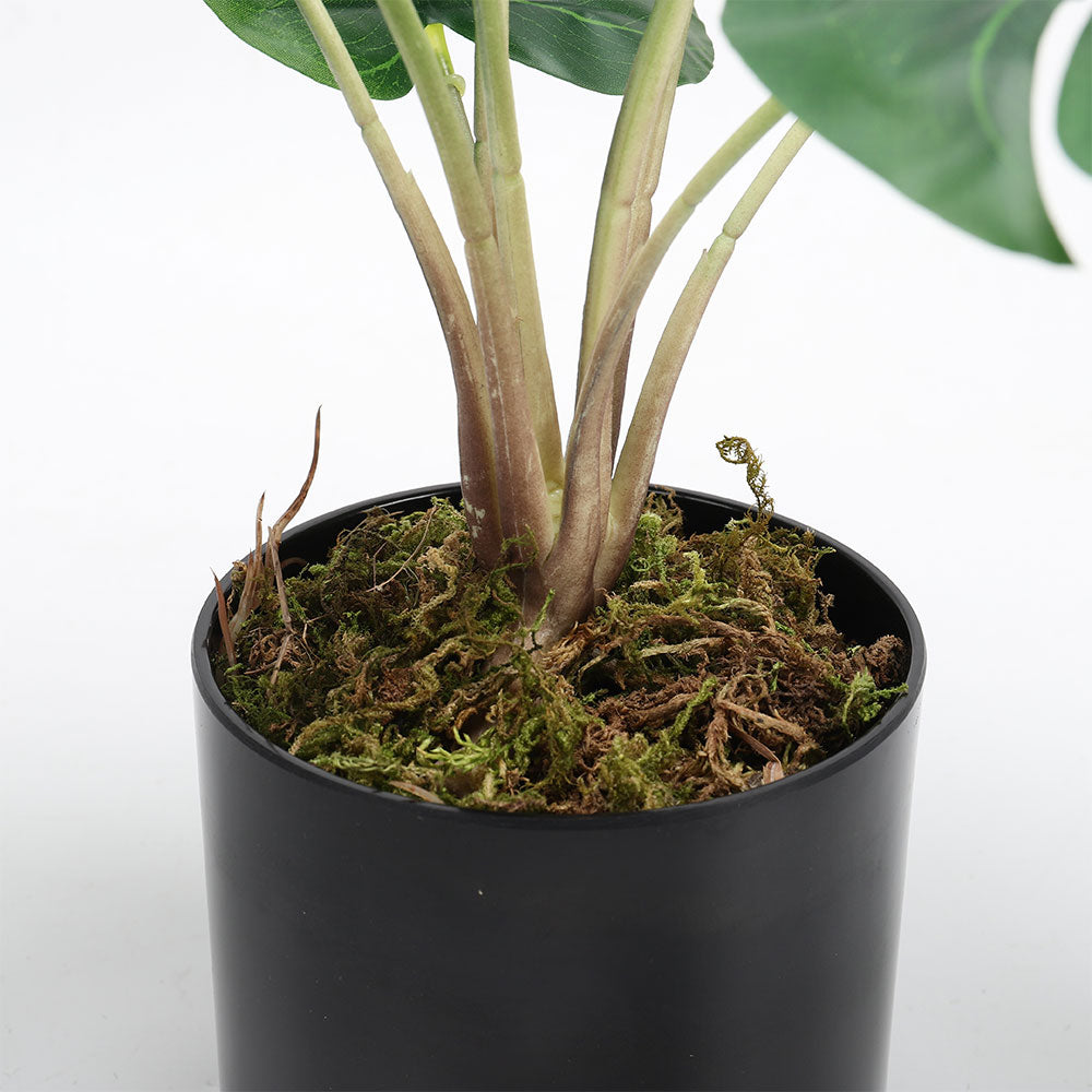 Simulation Turtle Back Leaf Plant Potted Ornament