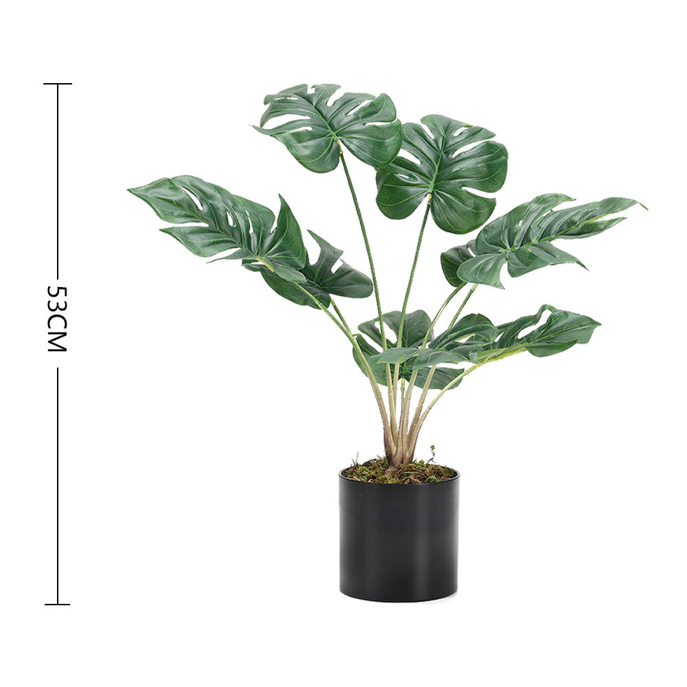 Simulation Turtle Back Leaf Plant Potted Ornament