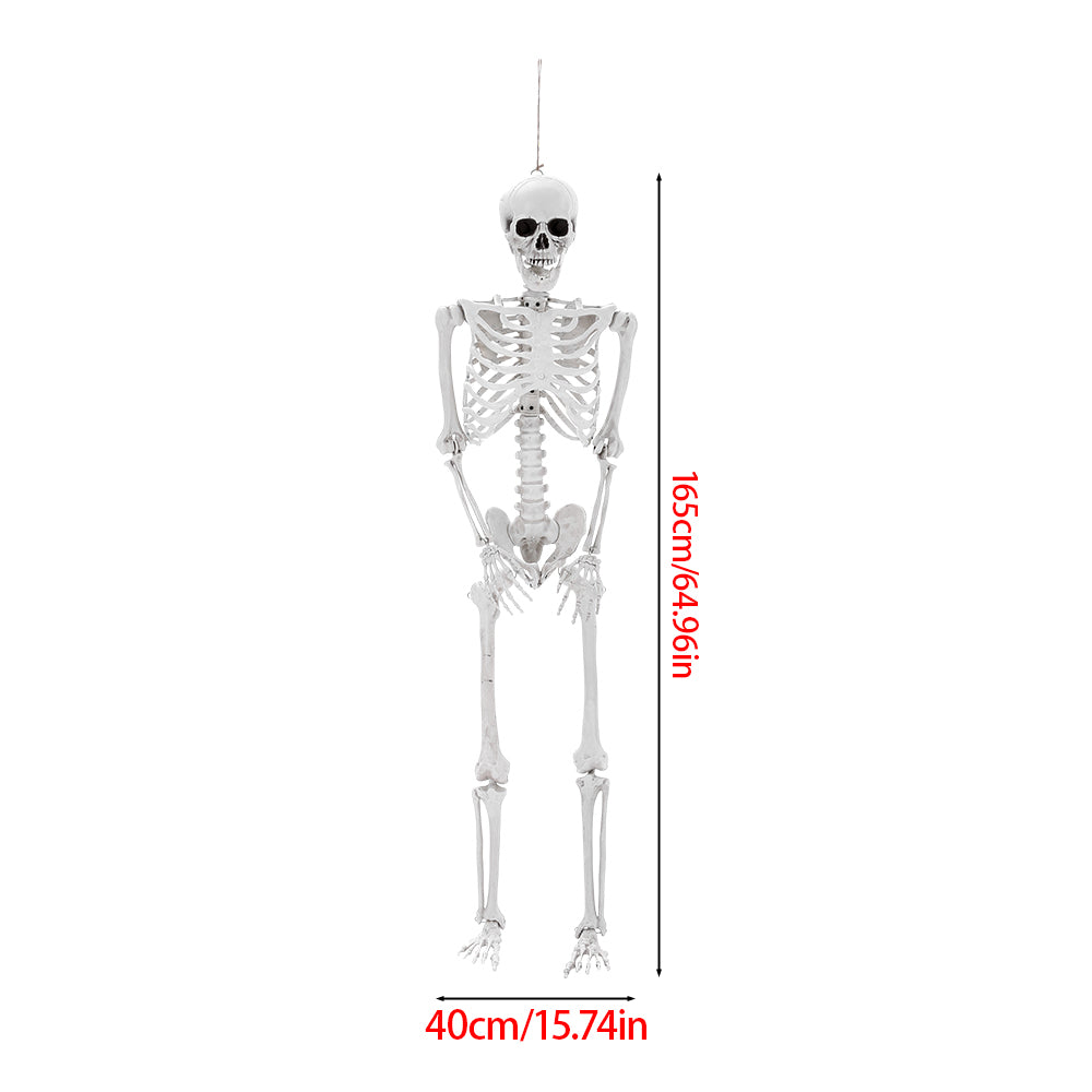 Poseable Skeleton Props for Halloween Party Decoration