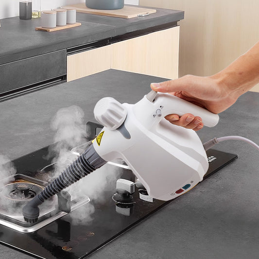 1000W White Handheld Steam Cleaner