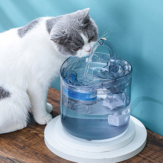 Transparent Automatic Pet Water Dispenser Cat Fountain