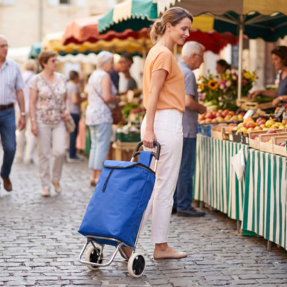 Portable 2-Wheel Shopping Trolley