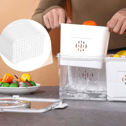 Fridge Storage Container with Three Compartments