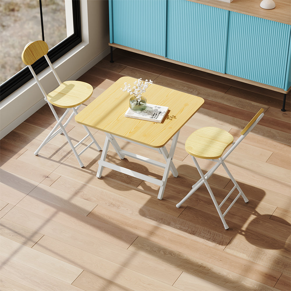 2/4Pcs Portable Foldable Dining Chairs