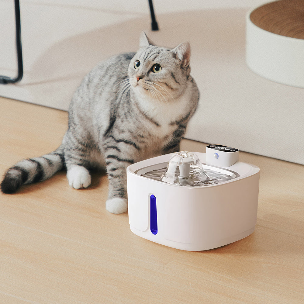 White Pet Water Fountain Ultra Quiet with Three Water Flow Modes
