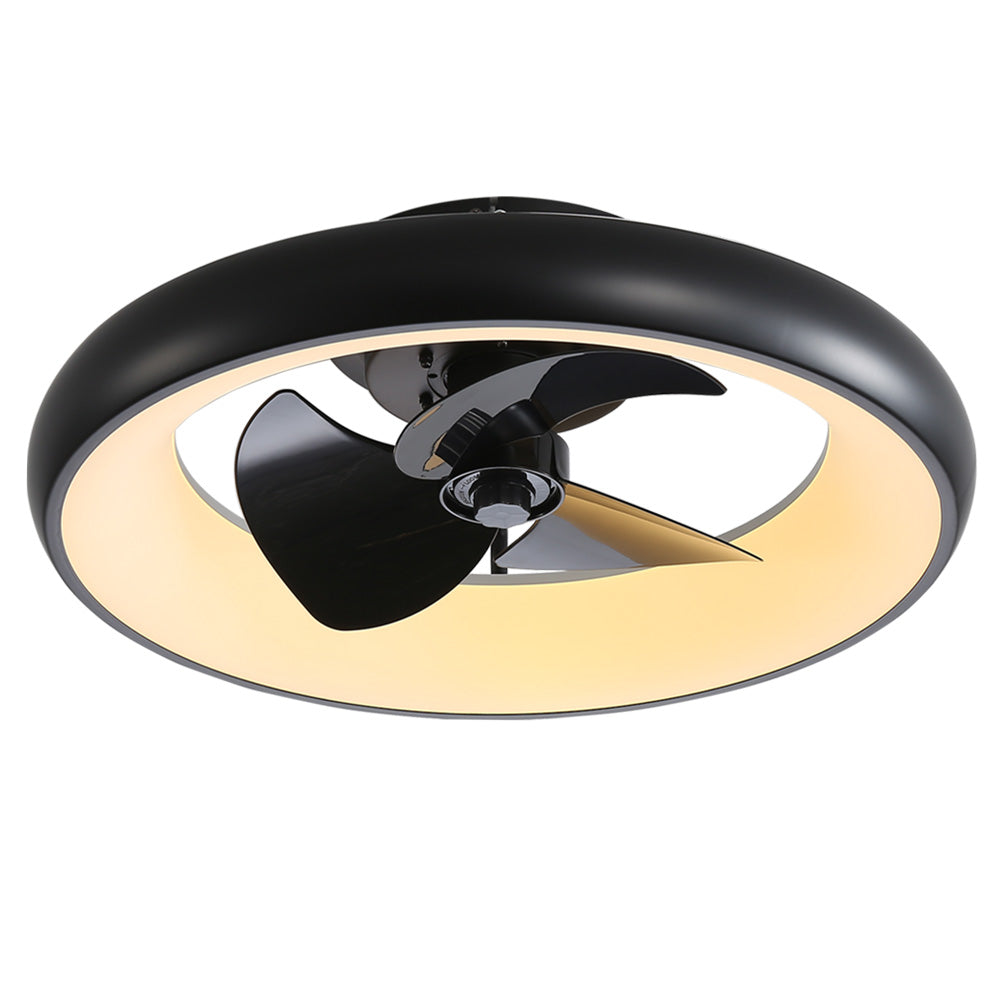 22-Inch Modern Ceiling Fan Light with Remote Control