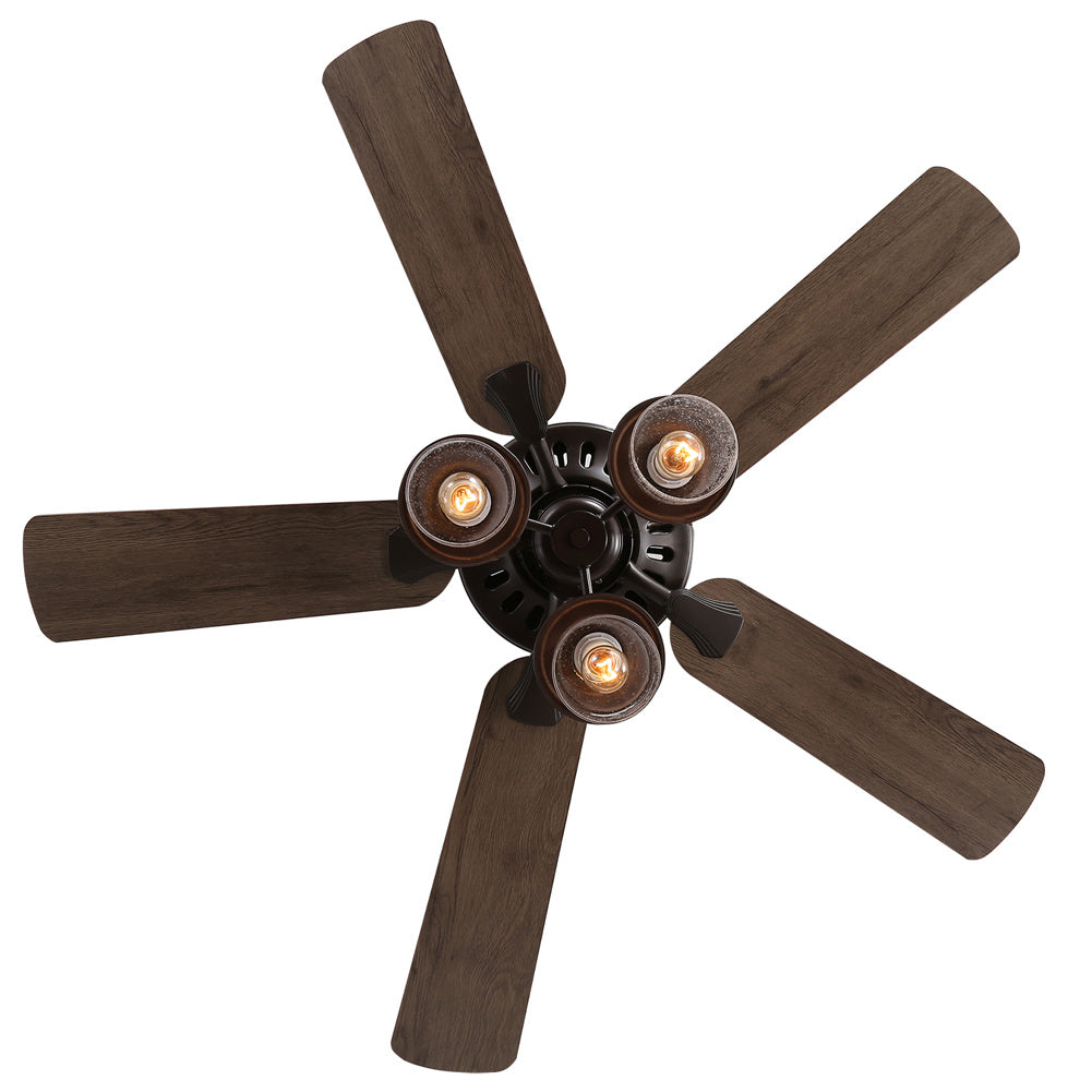 5-Blade Ceiling Fan Light with Remote