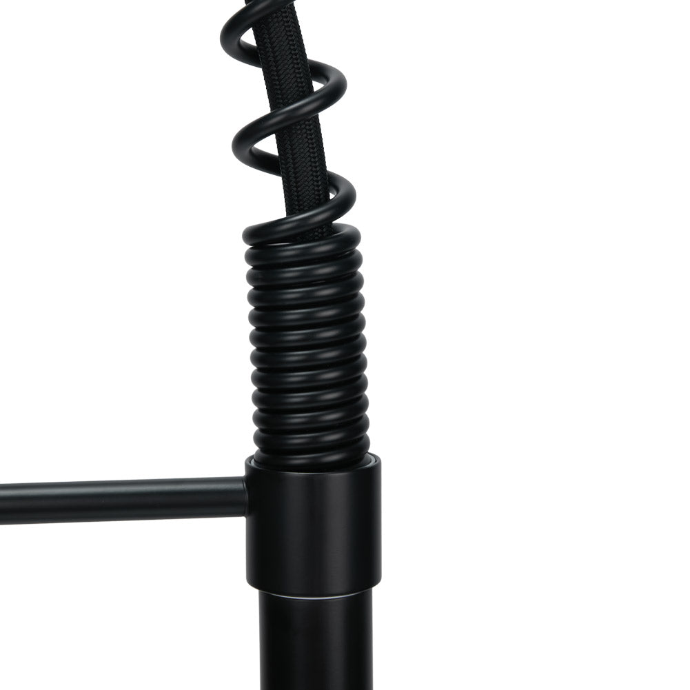 Swivel Kitchen Faucet with Pull Down Sprayer and Pot Filler