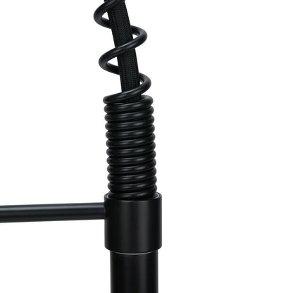 Swivel Kitchen Faucet with Pull Down Sprayer and Pot Filler