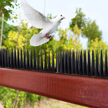 10 Pack Plastic Bird Spikes