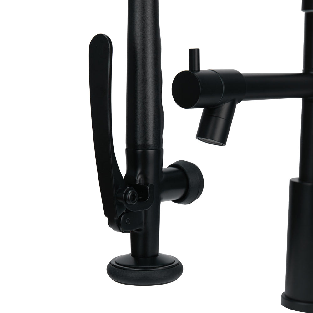 Swivel Kitchen Faucet with Pull Down Sprayer and Pot Filler