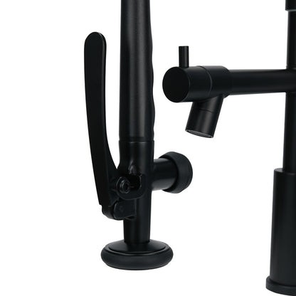 Swivel Kitchen Faucet with Pull Down Sprayer and Pot Filler
