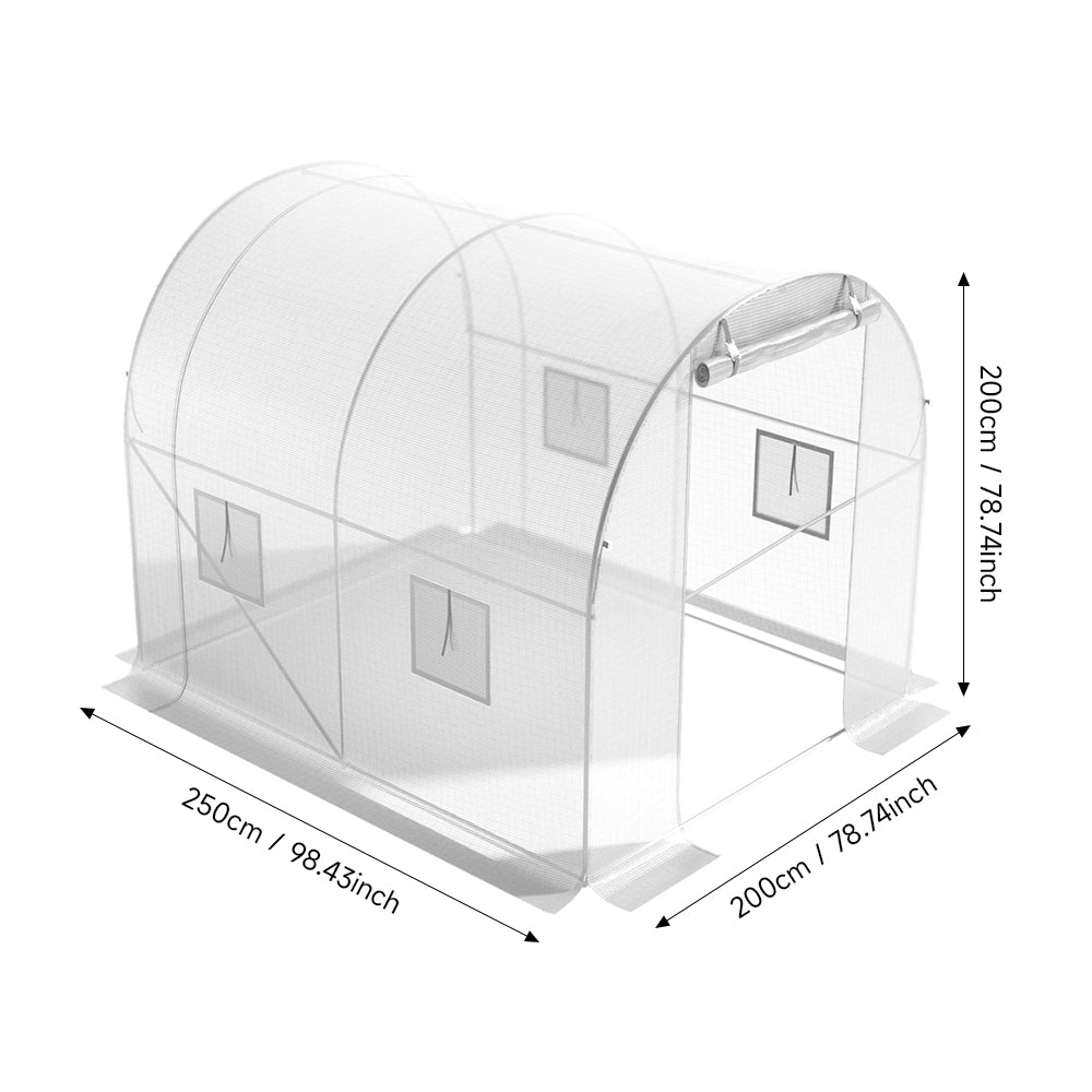 White Outdoor Walk-in Tunnel Greenhouse with Steel Frame