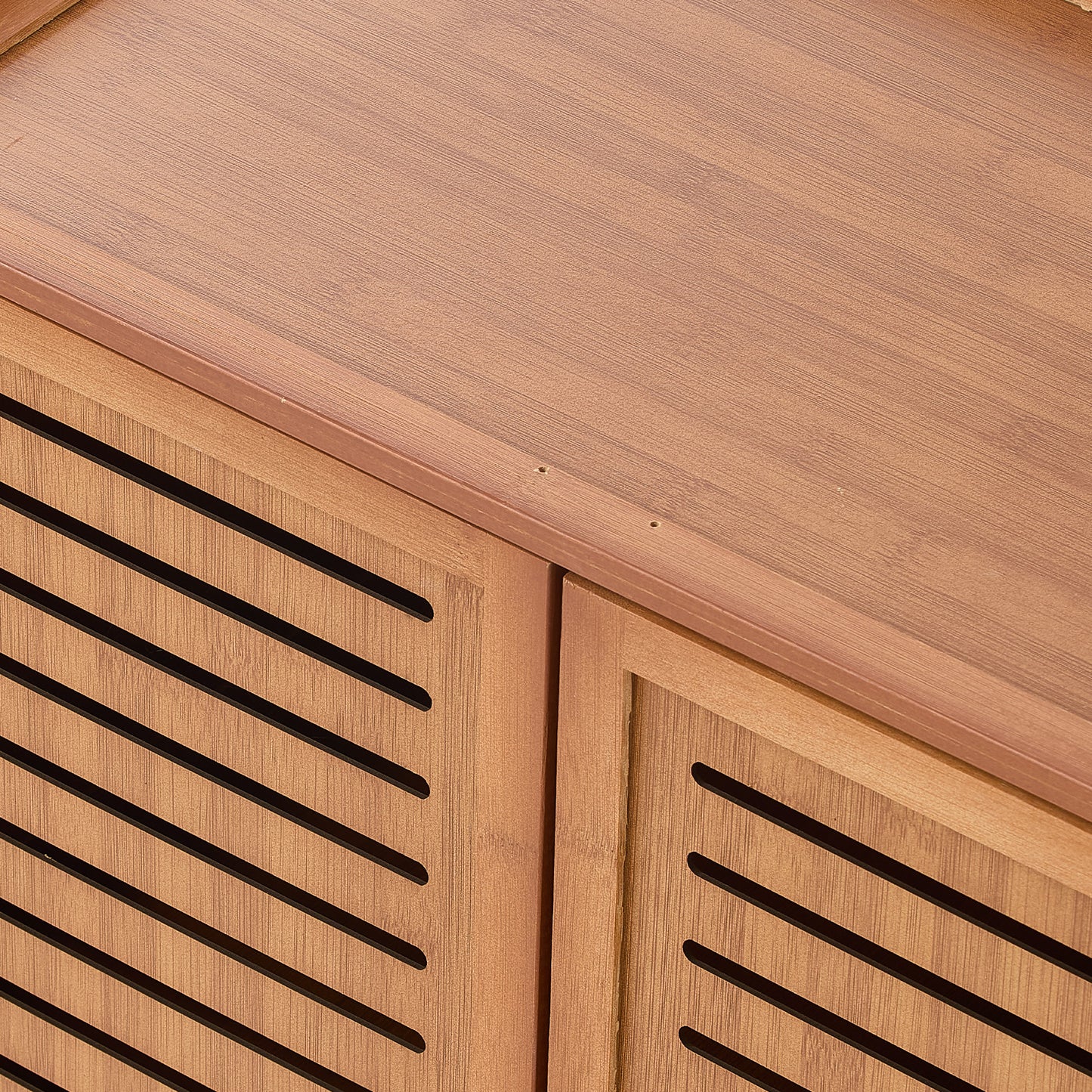 Shoe Storage Cabinet with 3 Doors