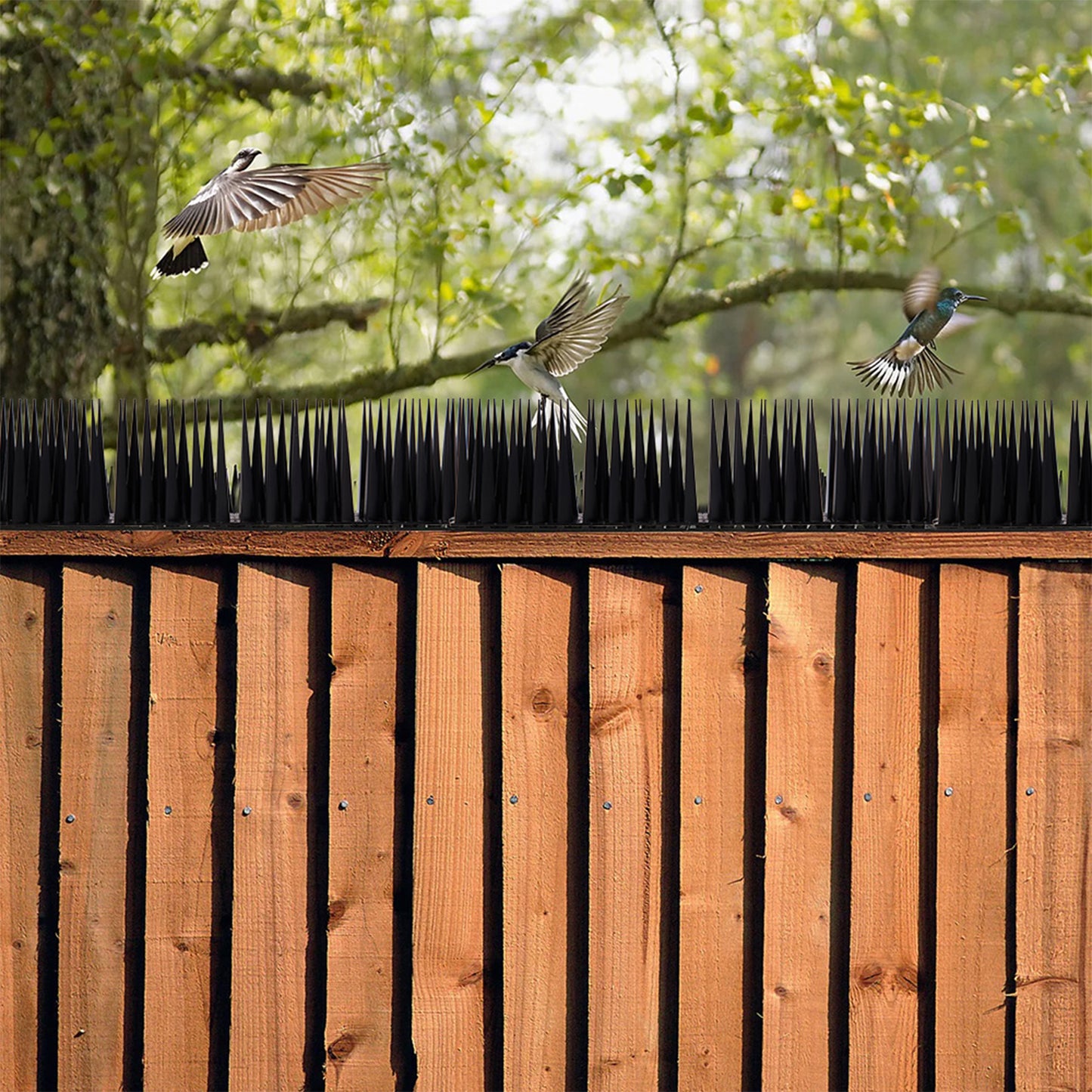 10 Pack Plastic Bird Spikes