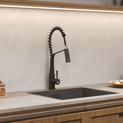 Modern Kitchen Pull Down Faucet
