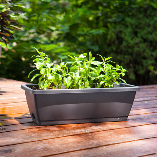 5-Piece Rectangle Garden Planter Set