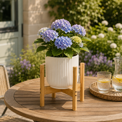 Bamboo Nordic Raised Plant Stand