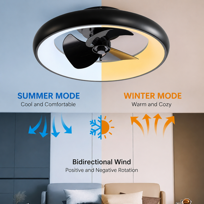 22-Inch Modern Ceiling Fan Light with Remote Control