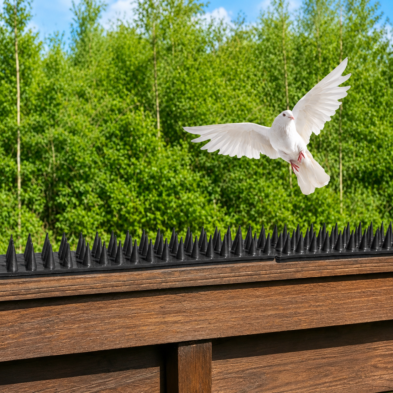 45cm 12 Pack Bird Spikes Deterrent Fence